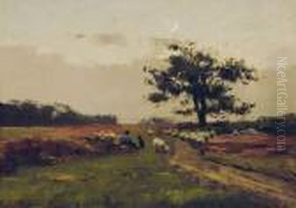 Landschaft Mit Schafer - view 1