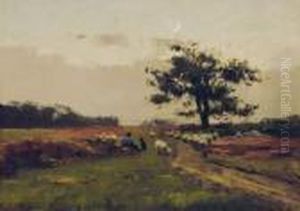 Landschaft Mit Schafer