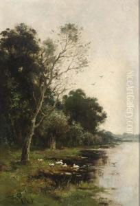 Ducks On The Waterfront