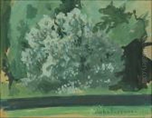 Shrub - view 1