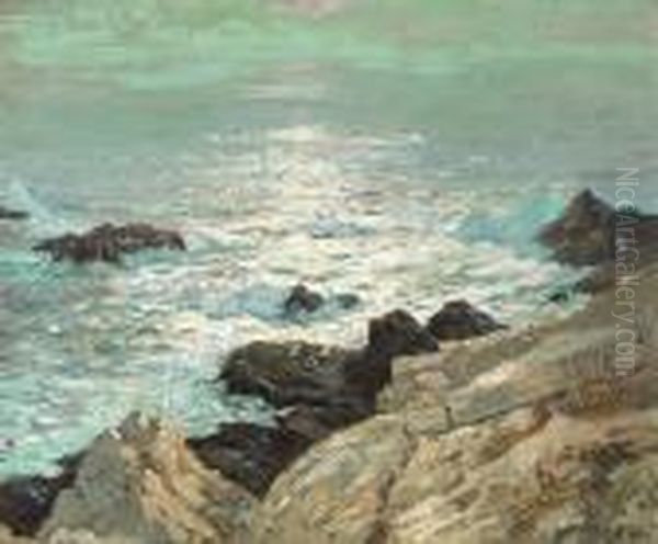 Light On A Rocky Shore - view 1