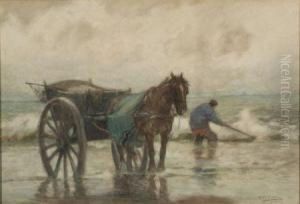 Clam Digging