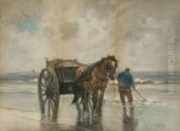 Dutch Clam Digger - view 1
