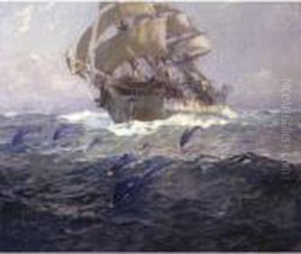 In The Trade Winds - view 1
