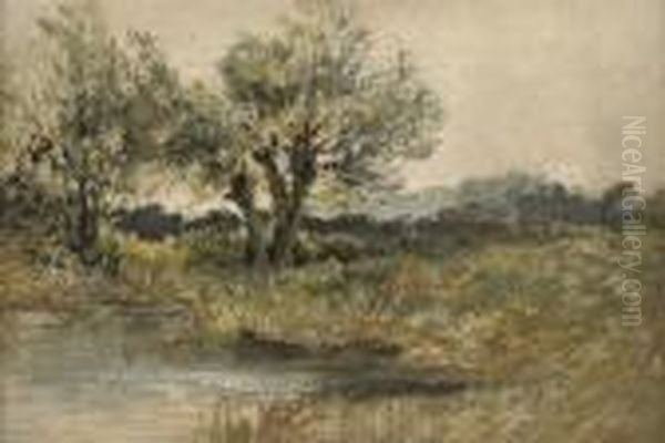 A Wooded Riverbank - view 1