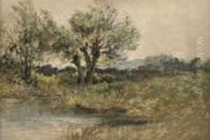 A Wooded Riverbank