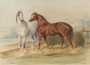 Arab E The Colonel