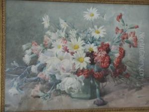 Oeillets Et Marguerites