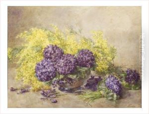 Violettes Et Mimosas