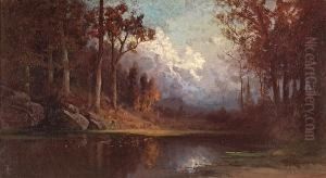 River Reflections