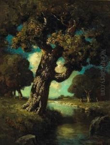 A Grand Old Oak