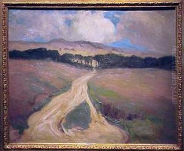 The Eucalyptus Grove Below The Hills - view 1