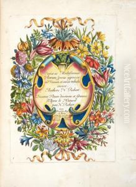 Variae Ac Multiformes Florum
Species Appressae Ad Vivum Et AEneis Tabulis Incisae. Authore N. Robert.
Diverses Fleurs Dessinees Et Gravees D'apres Le Naturel Par N. Robert. - view 1