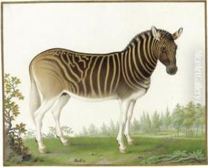 A Quagga