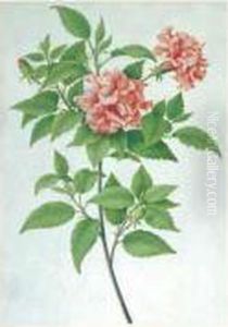 Branche De Fleurs