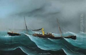 S.s. Stella by Luigi Roberto
