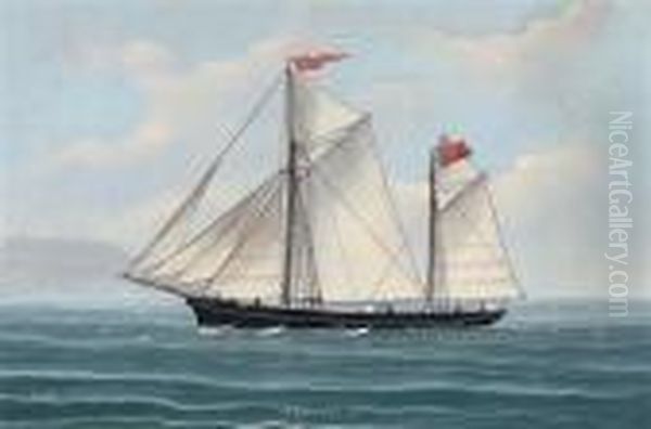 The Schooner
Hero
Of Jersey Under Full Sail In The Mediterranean; And The Schooner
Hero
Of Jersey Reefed-down In Heavy Seas - view 1