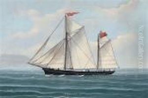 The Schooner 
Hero 
 Of Jersey Under Full Sail In The Mediterranean; And The Schooner 
Hero 
 Of Jersey Reefed-down In Heavy Seas by Luigi Roberto