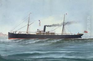 The S.s. 
Ortiga 
 In Full-steam Off Genoa