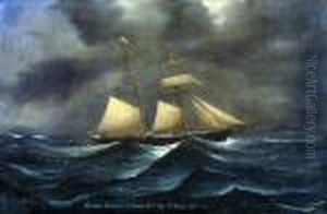 Schooner Mable Of St Johns
