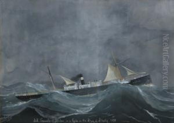 Ritratto Del Piroscafo "grenville" In Mare Aperto - view 1