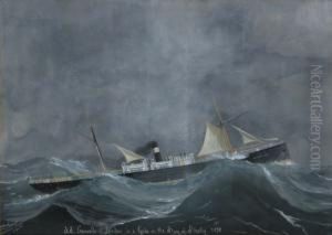 Ritratto Del Piroscafo "grenville" In Mare Aperto by Luigi Roberto