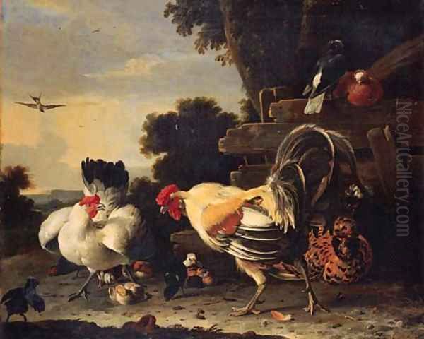 A hen protecting her chickens against a cockerell - view 1