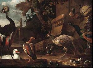 An East African Crane, a White Snow Goose, a Dutch Goose by Melchior D'Hondecoeter