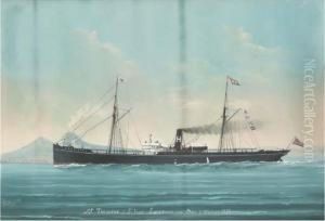 S.s. Trekieve Of St. Ives Entering The Bay Of Naples by Luigi Roberto