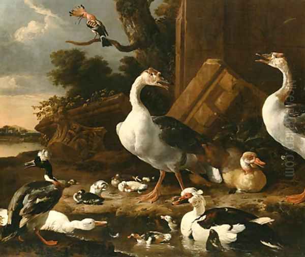 Chinese and Egyptian Geese - view 1