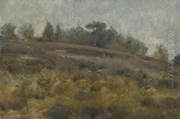 Landscape - view 1