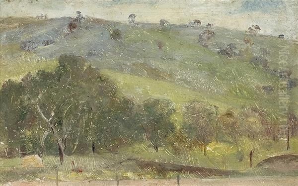Tasmanian Hillside - view 1