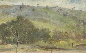 Tasmanian Hillside
