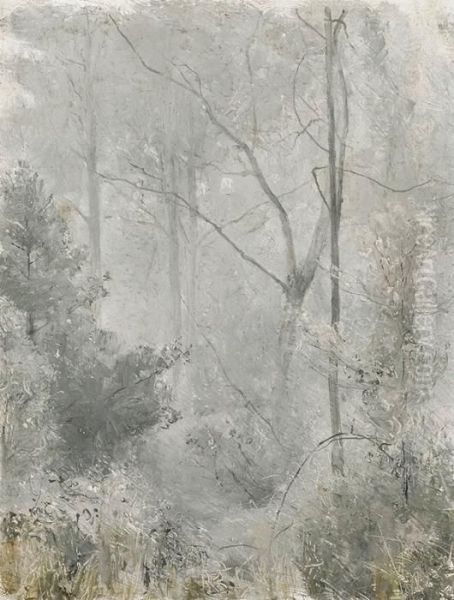 Morning Mist - view 1