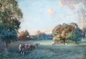 Cattle Grazing In A Summer Meadow