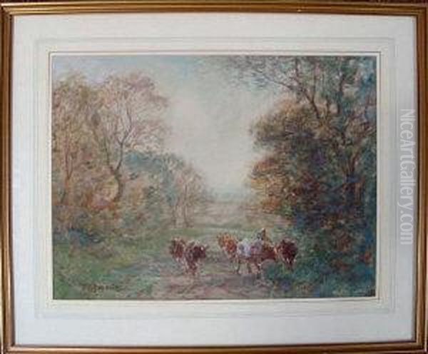 Cattle On A Woodland Path In Autumn - view 1