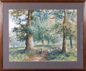 Sheep Grazing Among Trees