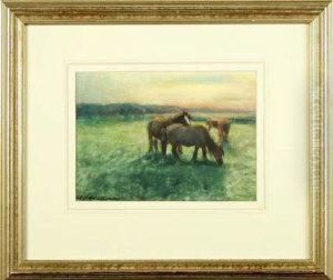 Horses In A Meadow At Dusk