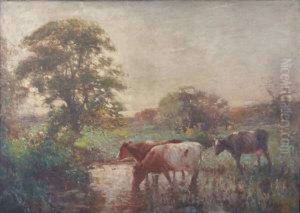 Three Cows Drinking At A Pool - view 1