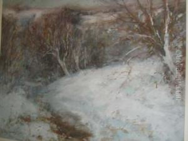 After The Snowfall - view 1