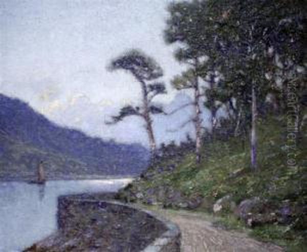 Turn Of The Road, Ballacullish Ferry - view 1