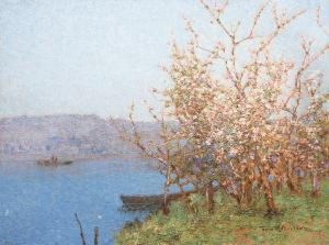 Kirschblute An Der Loire