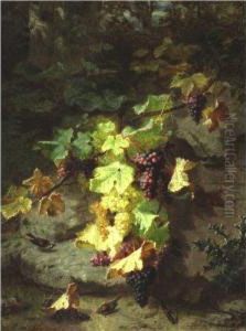 Still Life With Grapevine