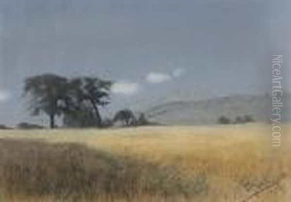 California Landscape - view 1