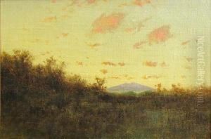 Mt. Tamalpais by Charles Robinson