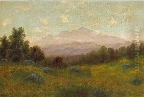 Poppies With Mt. Tamalpais In Thedistance - view 1