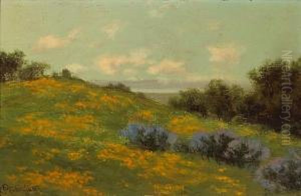 Hillside Poppies - view 1