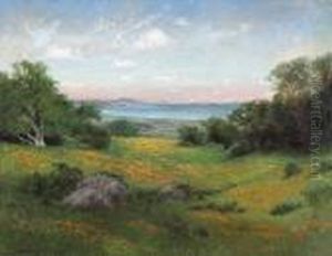 A View Of The Coast With Rolling Hills And Poppies
