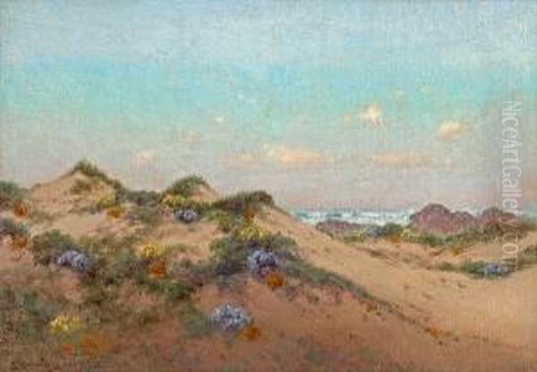 Summer Sand Dunes - view 1