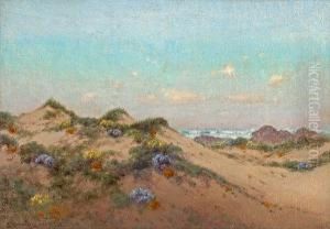 Summer Sand Dunes by Charles Robinson